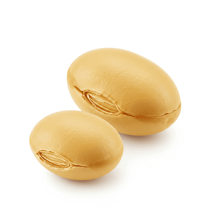 soy nut