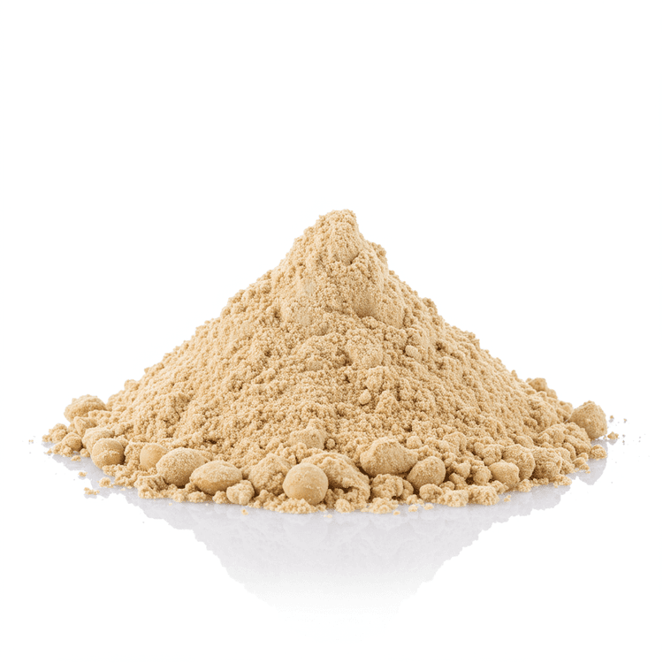 soy protein powder
