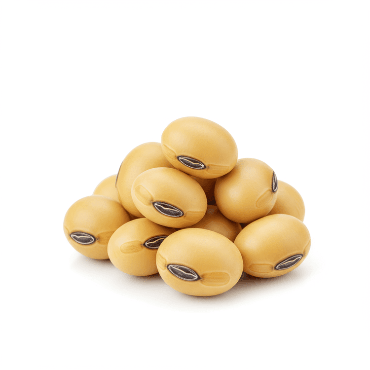 soybean