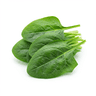 Baby spinach