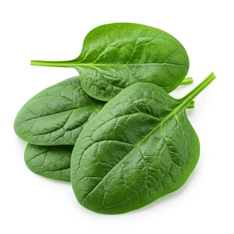 spinach
