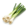 Spring onion