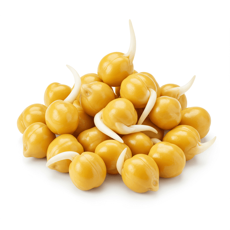 sprouted chickpeas