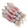 squids