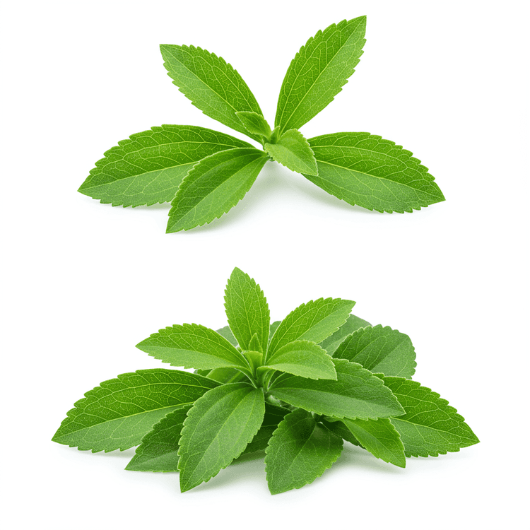 stevia