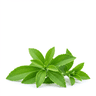 stevia or coconut sugar