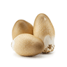 Straw Mushroom