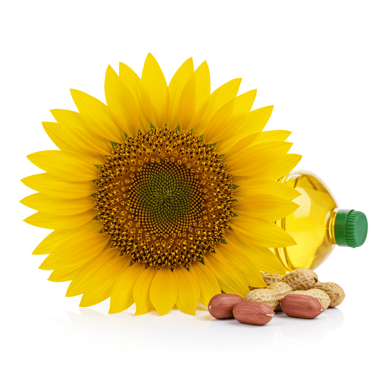 sunflower oil