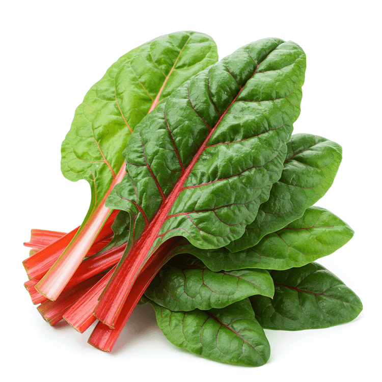 swiss chard