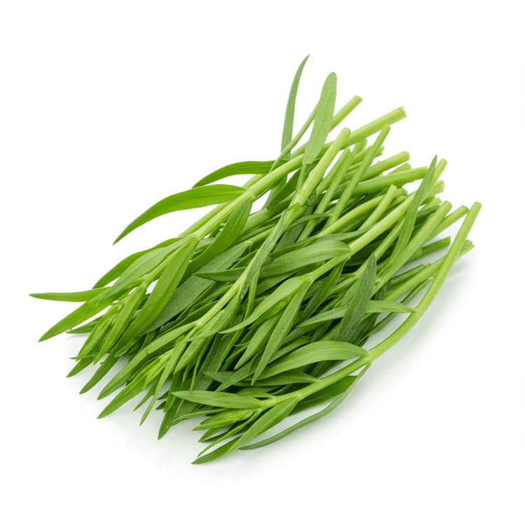 tarragon