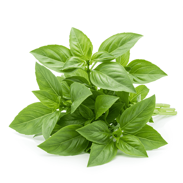 thai basil