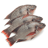 tilapia fillets