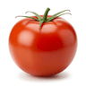 tomato salsa