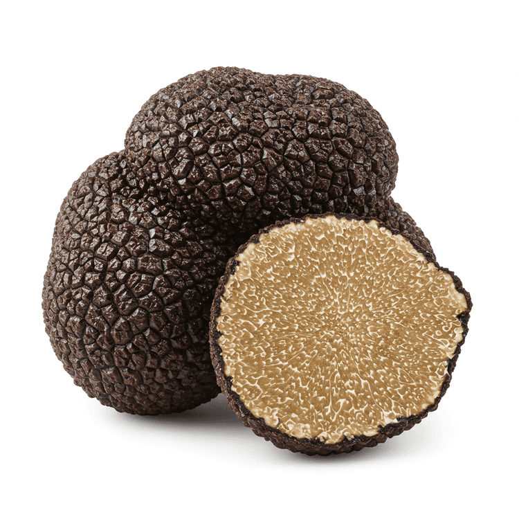 Truffle