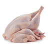 ground turkey