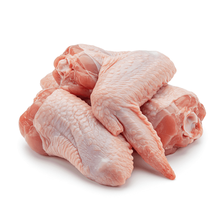 turkey wing