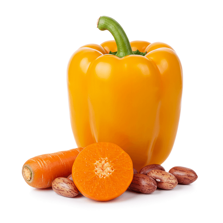 vegetable bouillon
