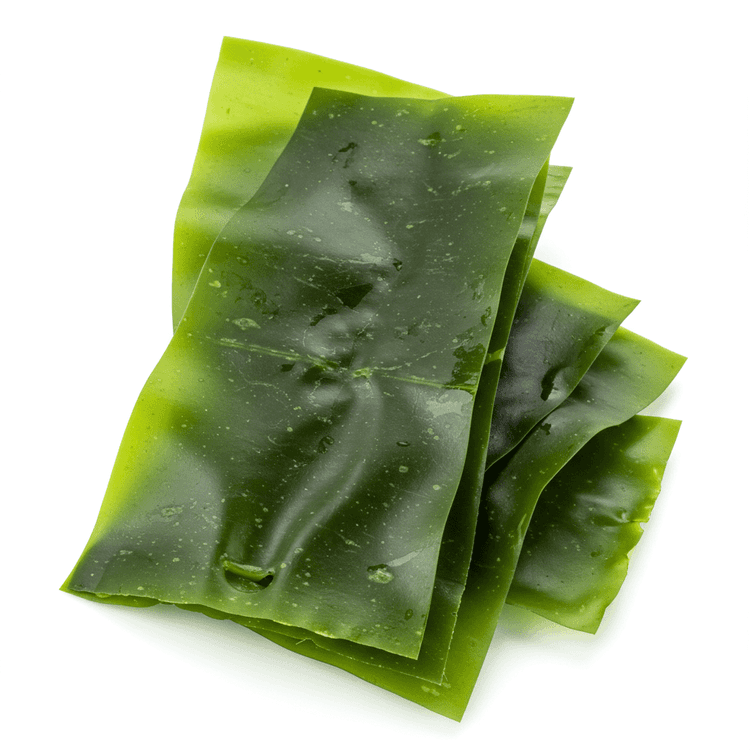 wakame