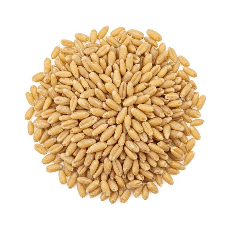 wheat bran