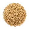 wheat bran