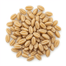 wheat germ