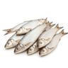 white firm fish