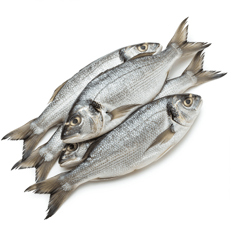 whole fish