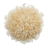 Whole grain rice