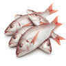 whole snapper