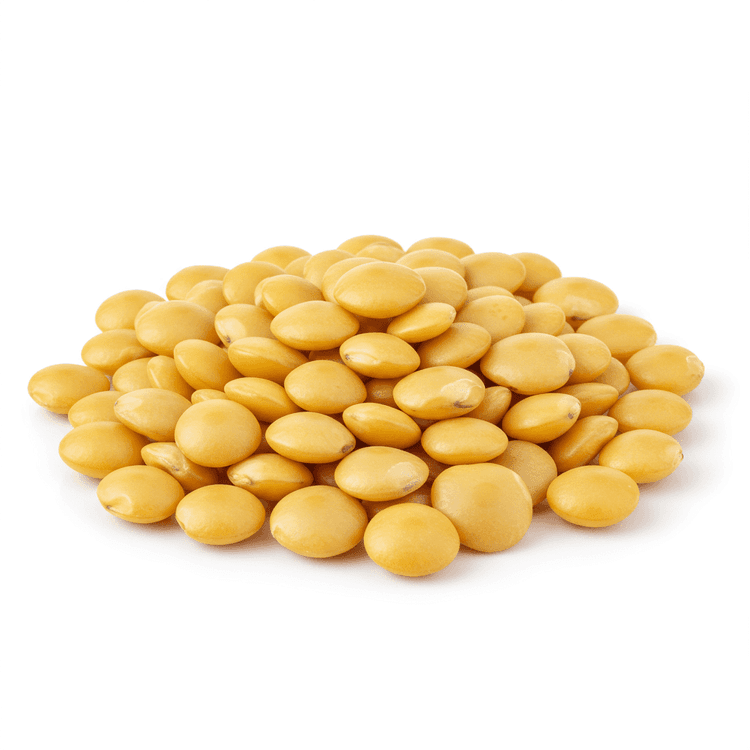 yellow lentil