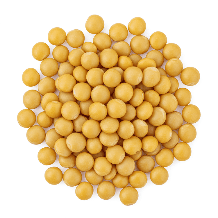 yellow lentil