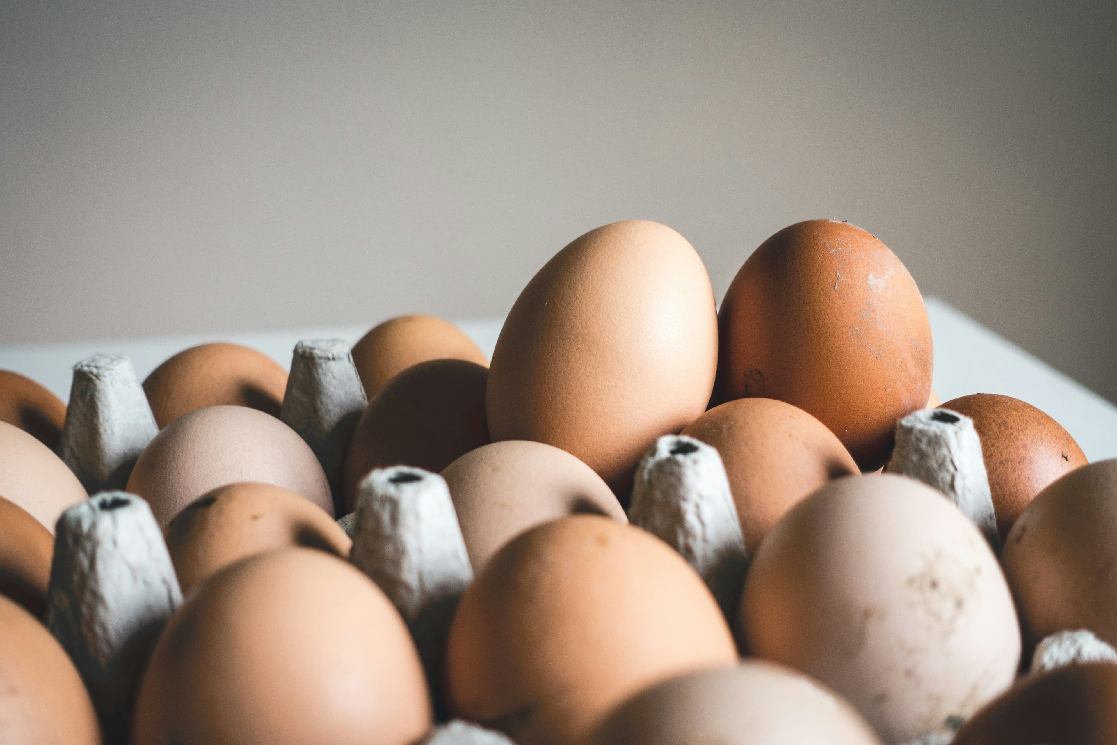 Several eggs are placed in a cardboard egg tray.