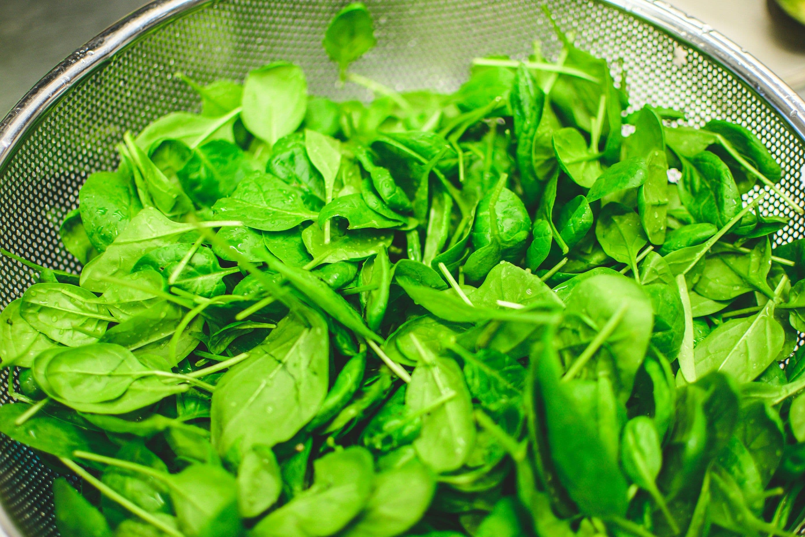 Fresh spinach being washed before cooking.