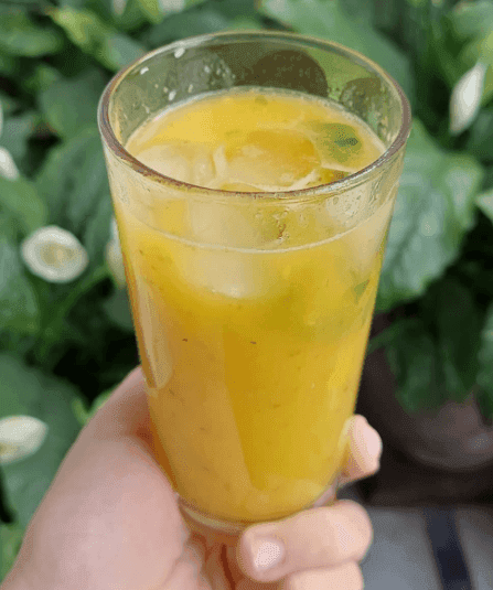 Summer Fruit Juices recipe