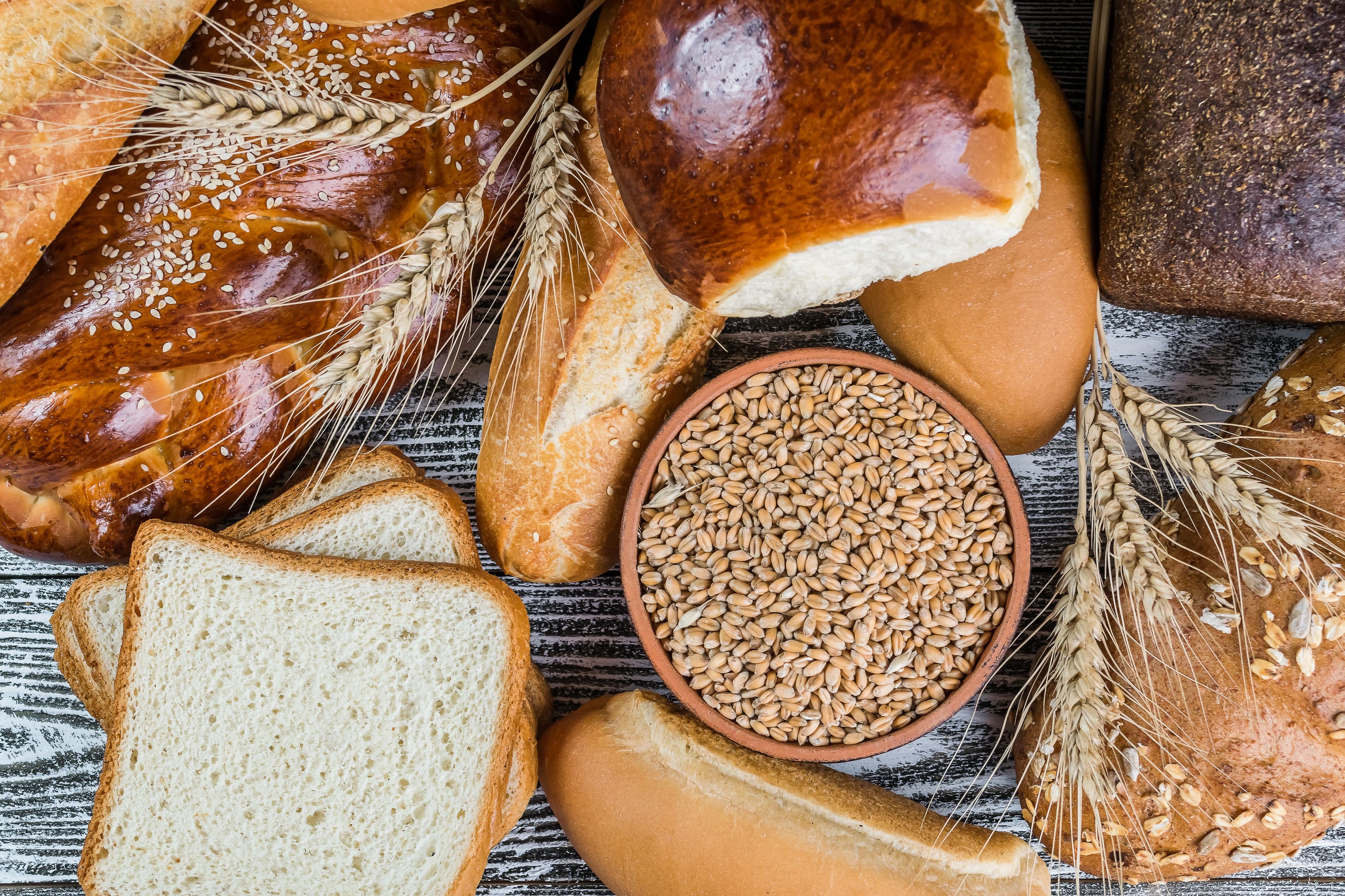 Assortment of freshly baked bread