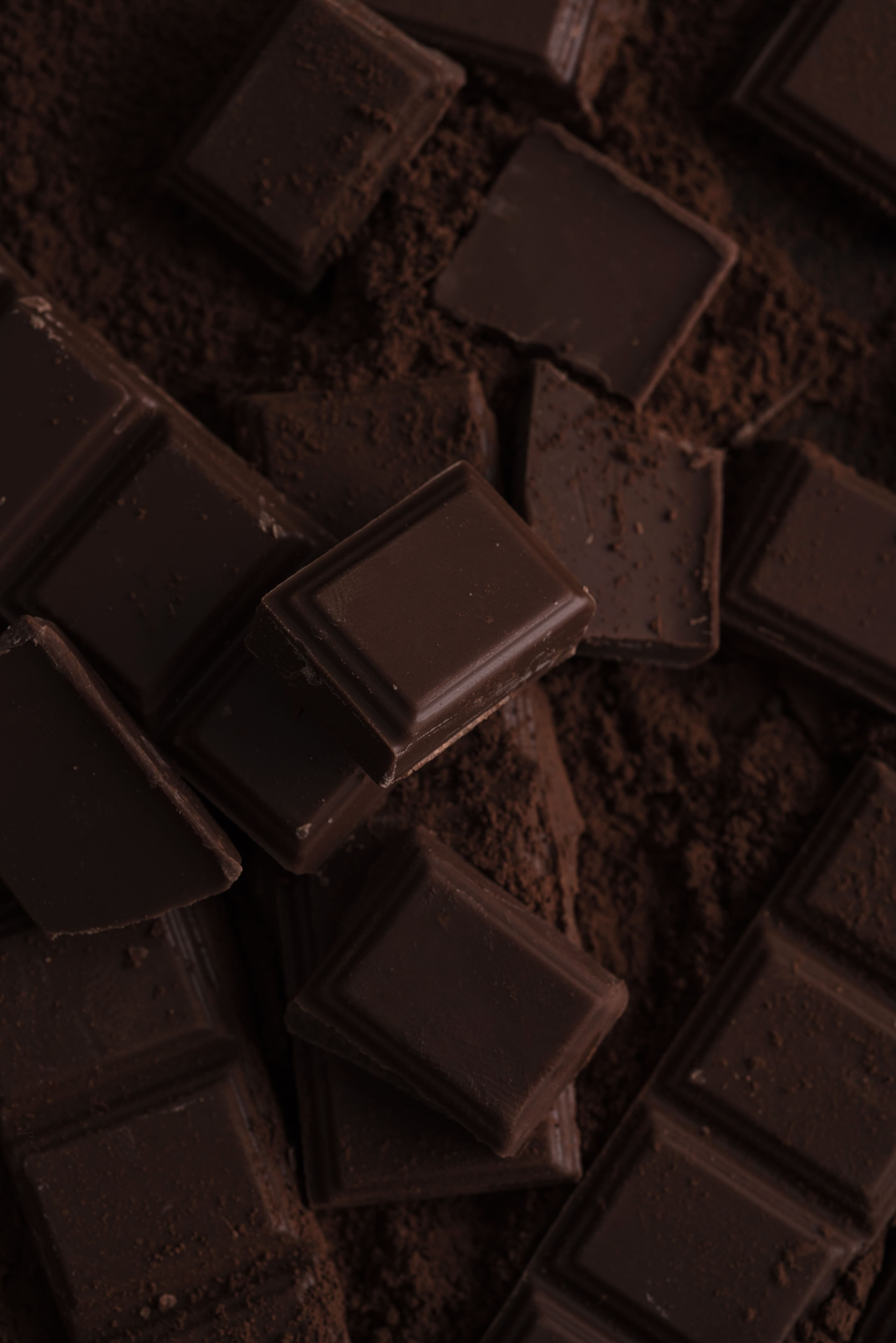 Dark chocolate tiles and broken pieces covered in cocoa powder.