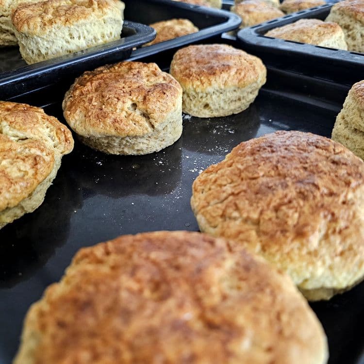 Cream Scones recipe