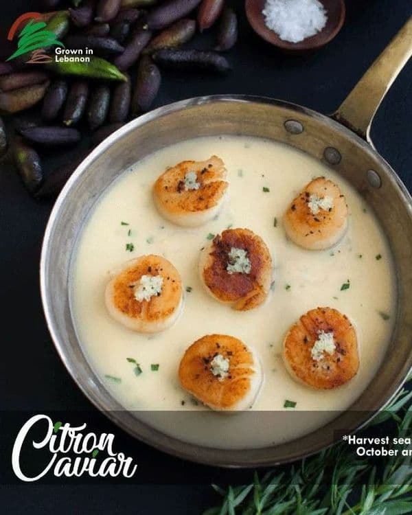 Seared Scallops with Beurre Blanc and Finger Lime Pearls recipe