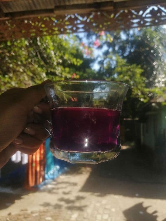 Butterfly Pea Flower Tea recipe