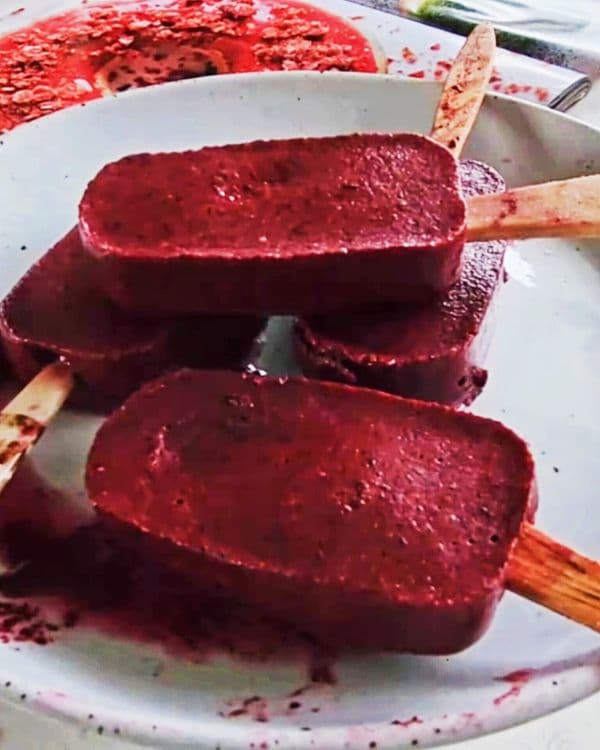 Blueberry Sorbet Popsicles recipe