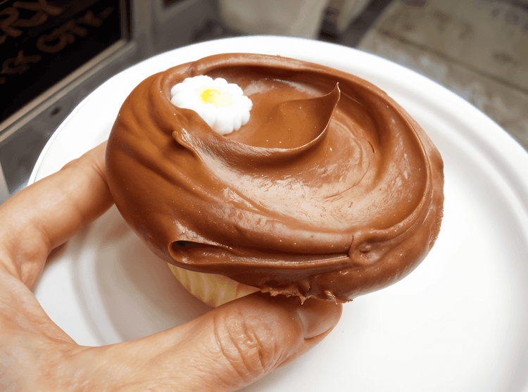 Chocolate Cupcakes with Chocolate Frosting recipe