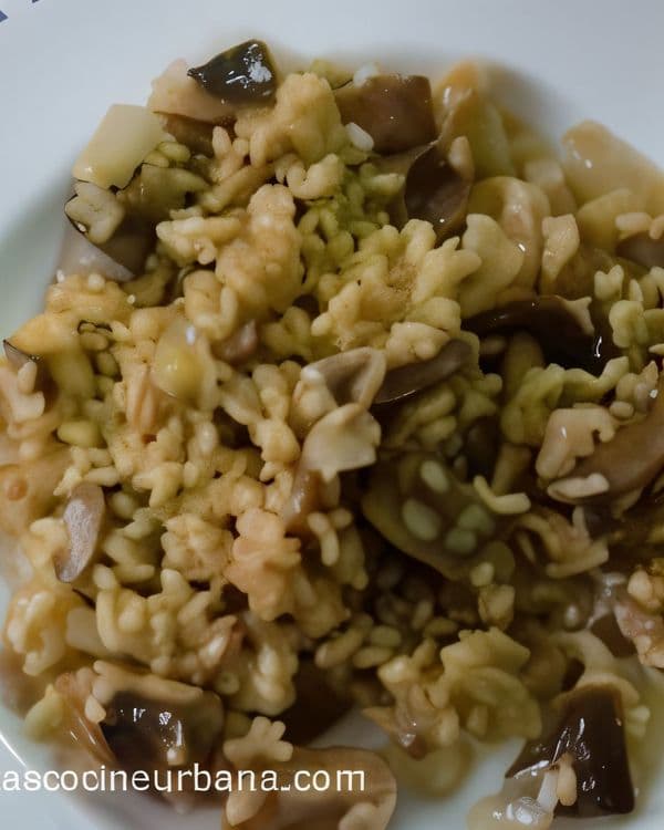 Mushroom Risotto with Parmesan recipe