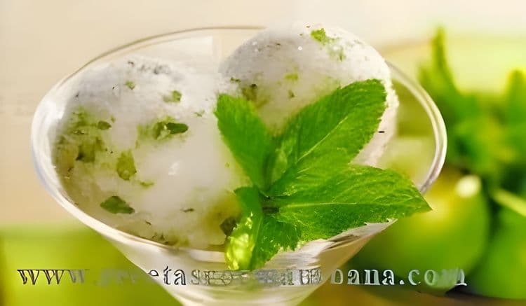 Cuban Mojito Sorbet recipe