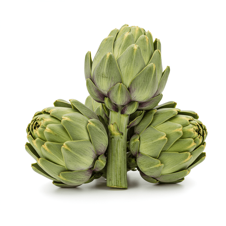 artichoke