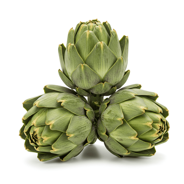 artichoke