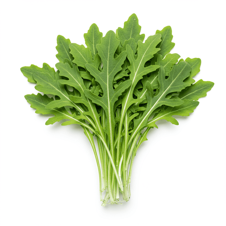 arugula