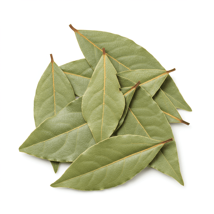 bay leaf