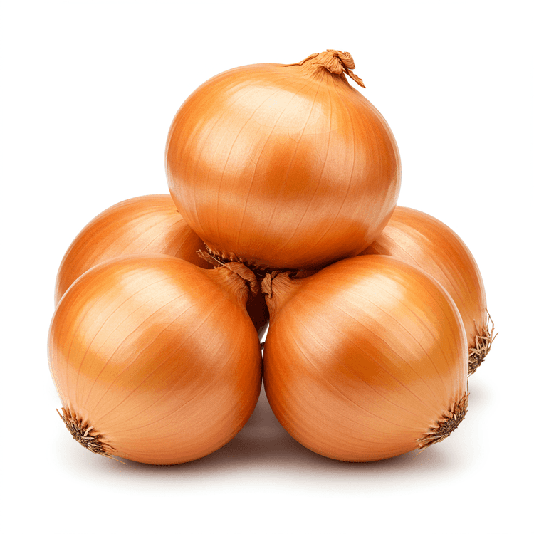 Big Onion