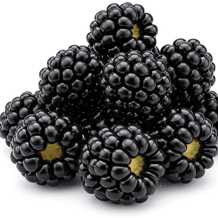 blackberries