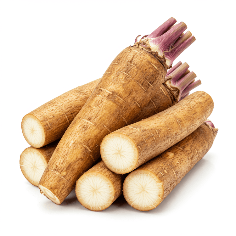 burdock root